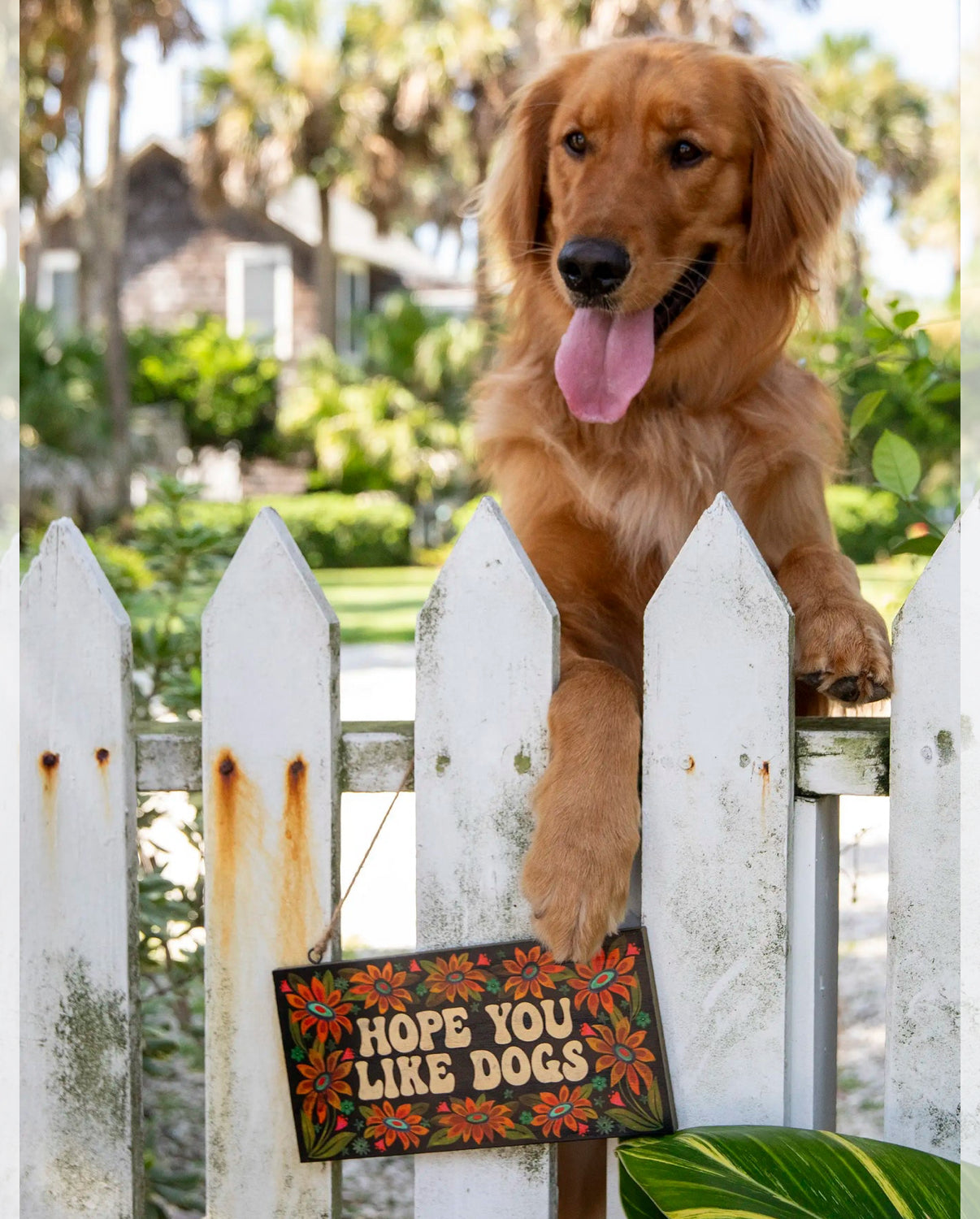I Hope You Like Dogs- Porch Sign