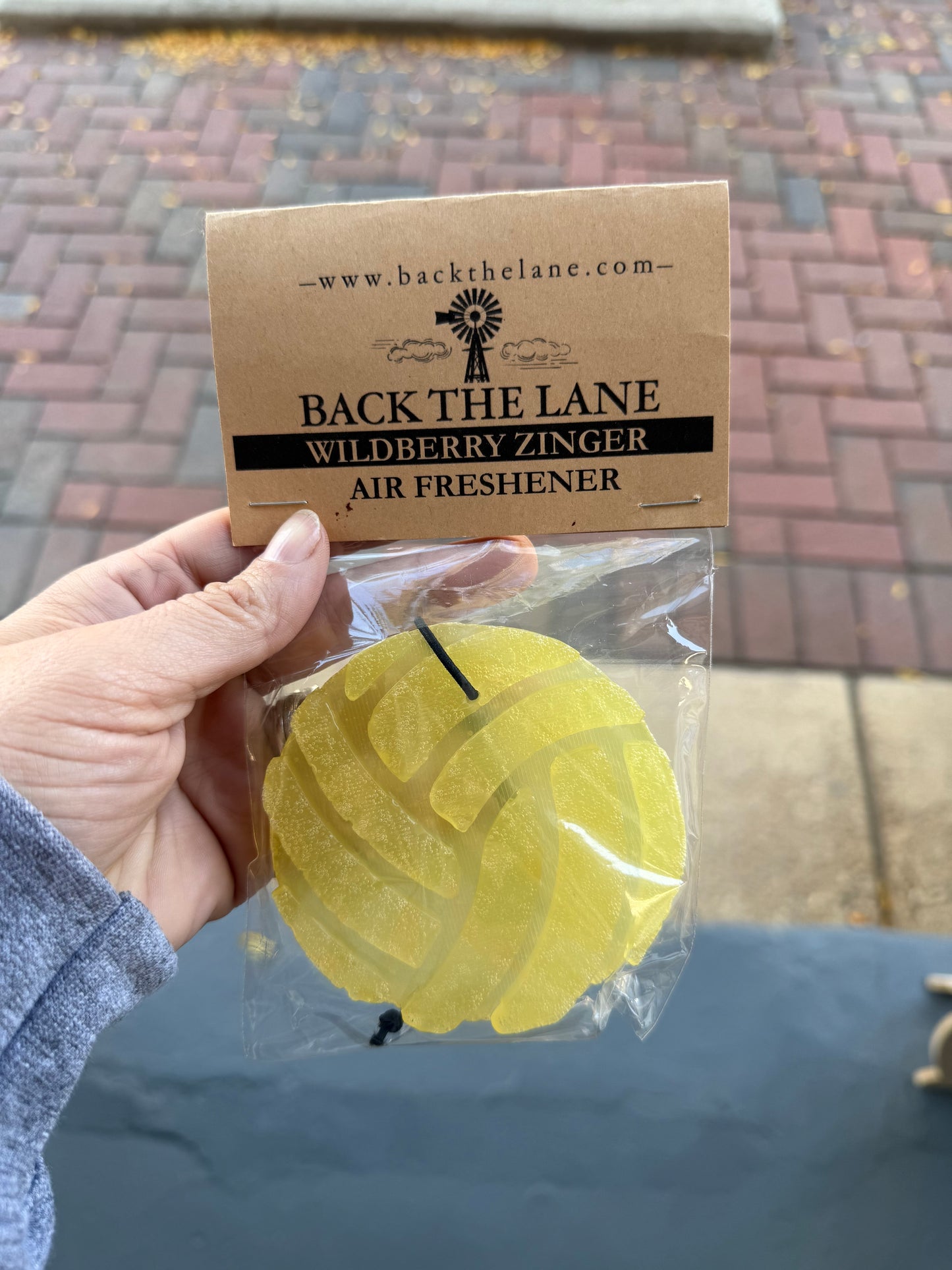 Volleyball Air Freshie