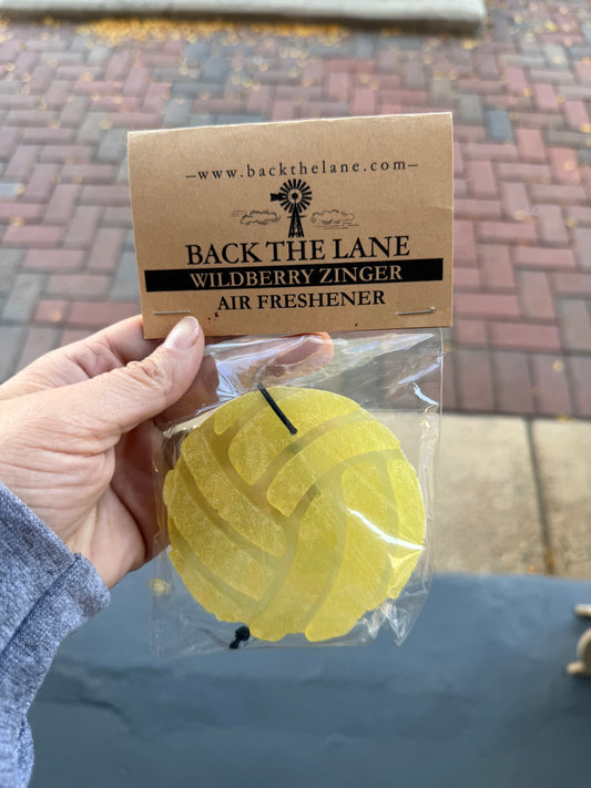 Volleyball Air Freshie