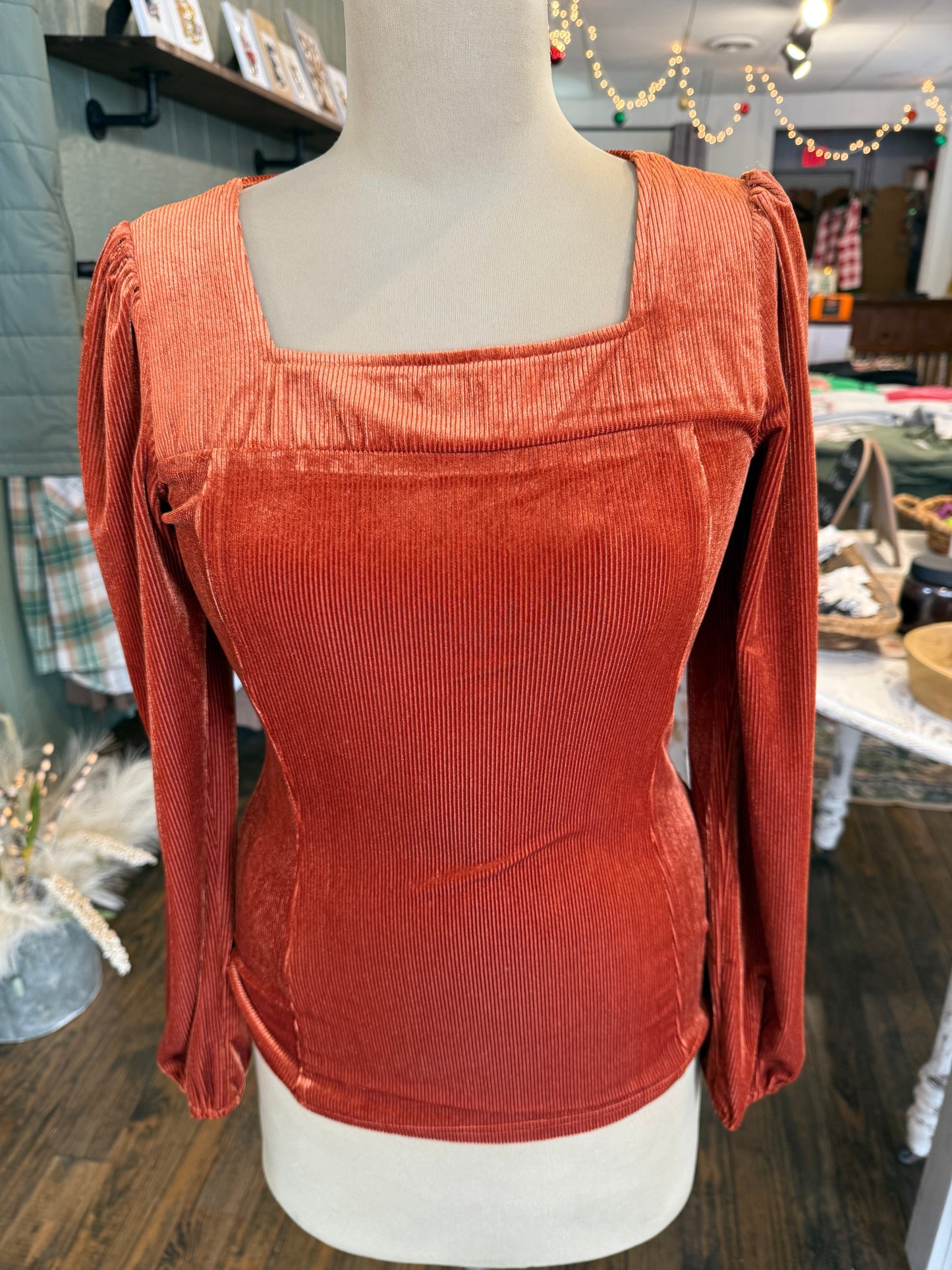 Rust Velvet Top