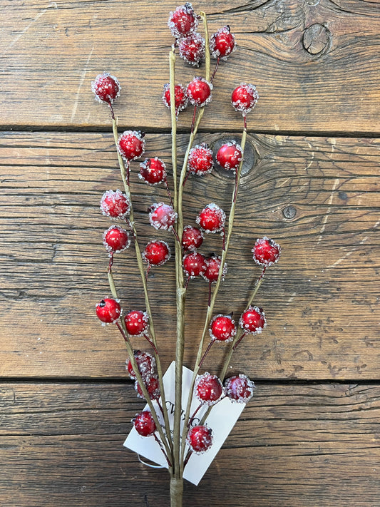 Icy Red Berry Stem
